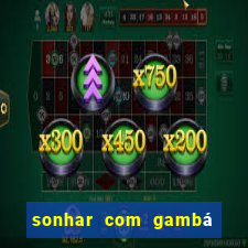 sonhar com gambá jogo do bicho